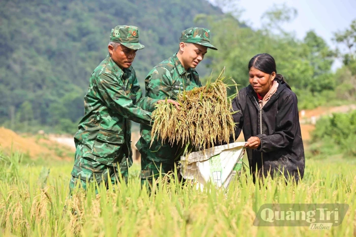 Hạt gạo chắt chiu nghĩa tình Quảng Trị…