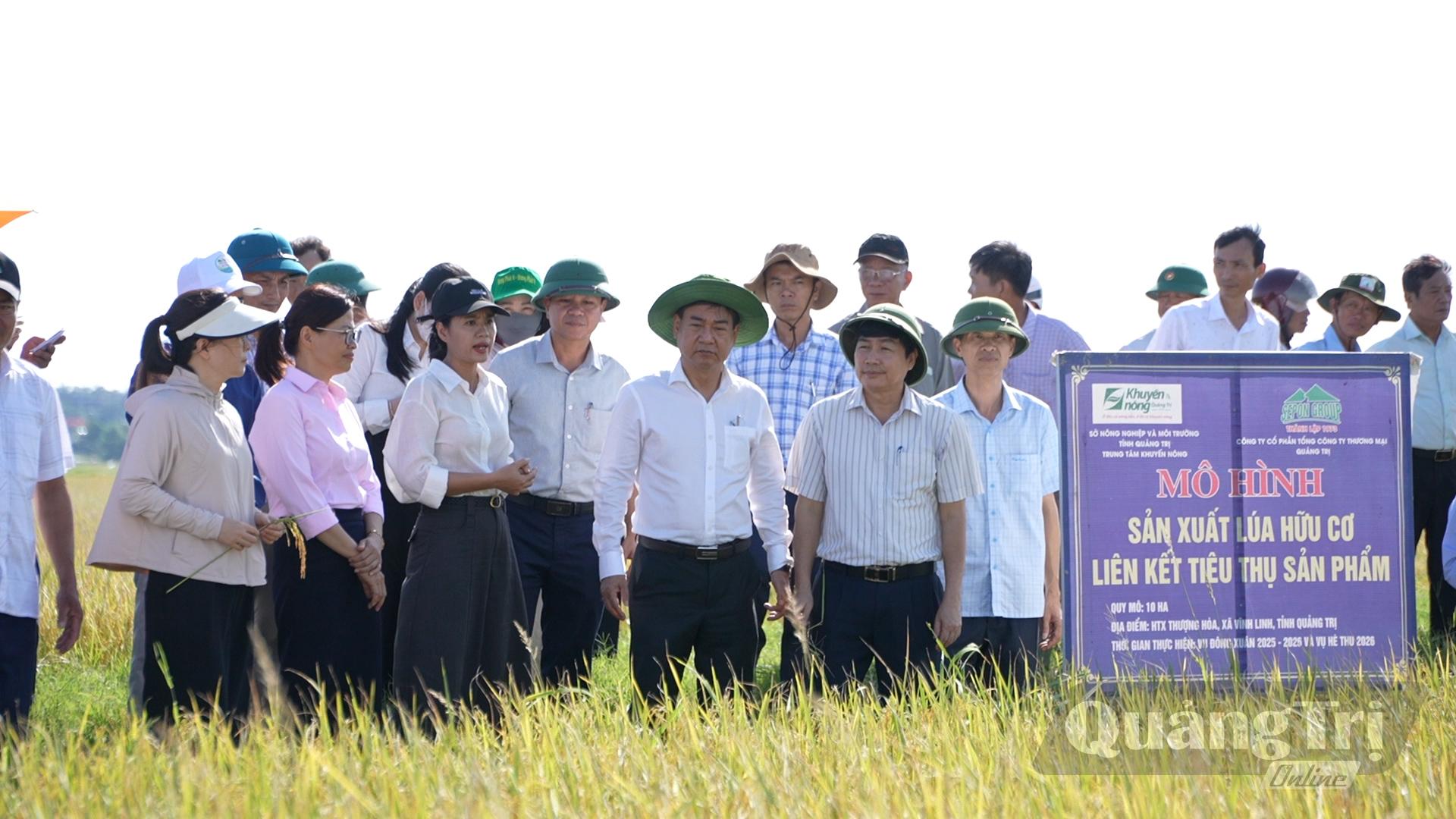 Đại biểu tham quan mô hình sản xuất lúa hữu cơ liên kết tiêu thụ sản phẩm - Ảnh: Đ.H