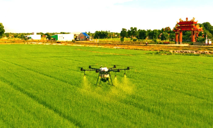 Chuyển mình cùng nông nghiệp xanh