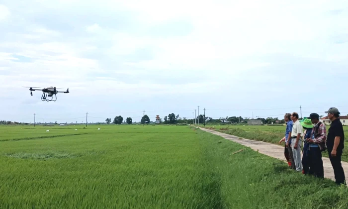 Đổi mới tư duy sản xuất để giữ vụ mùa thắng lợi