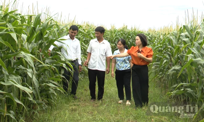 'Đánh thức' ruộng hạn