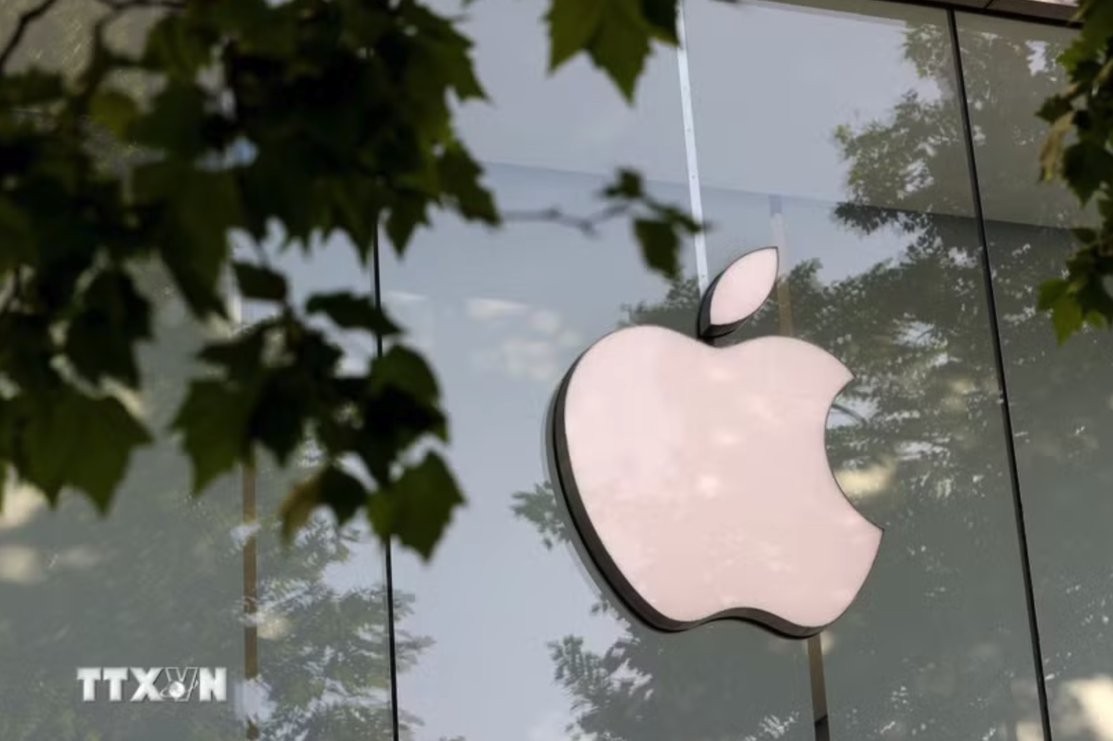 Biểu tượng Apple tại cửa hàng ở Brussels, Bỉ. (Ảnh: THX/TTXVN)