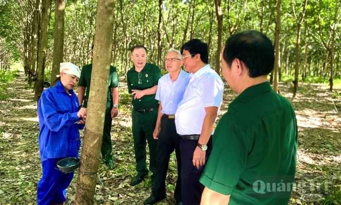 Từ quyết sách táo bạo... đến phát triển nông nghiệp xanh