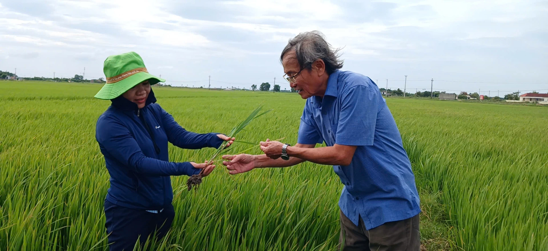 Đổi mới tư duy sản xuất bắt đầu từ những buổi hướng dẫn kỹ thuật ngay trên đồng ruộng -Ảnh: N.B