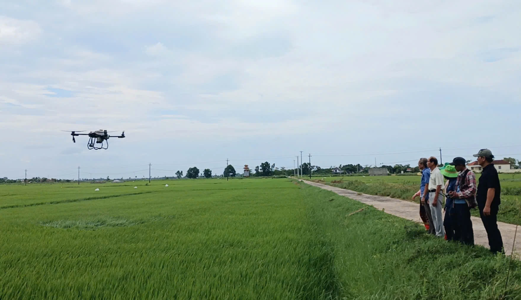 Hợp tác xã Bích La ứng dụng thiết bị bay không người lái nhằm nâng cao hiệu quả sản xuất nông nghiệp -Ảnh: N.B