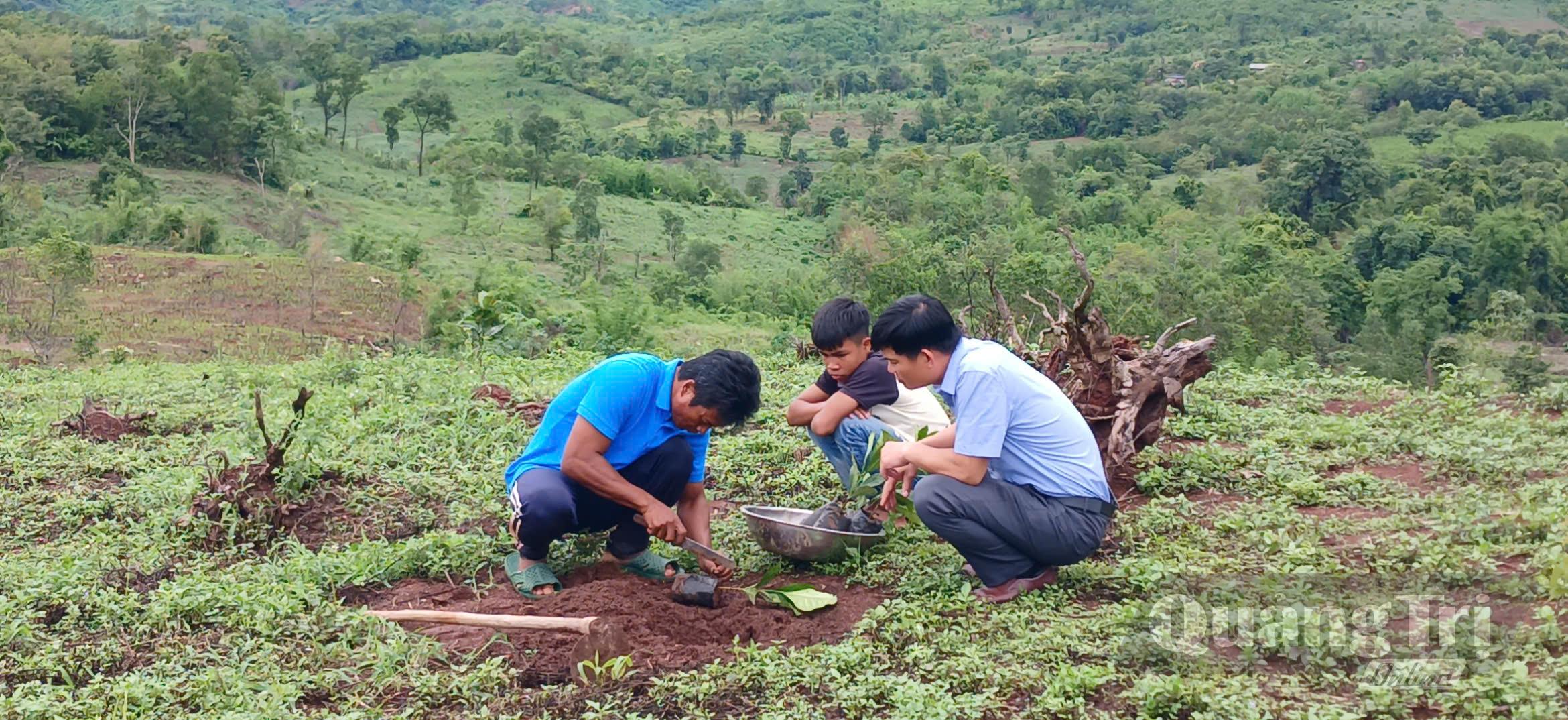 Anh Hồ Ai Béc (ngoài cùng bên trái) trồng dặm cà phê mít trên diện tích 2ha của gia đình ở thôn Trùm, xã A Dơi - Ảnh N.B.

