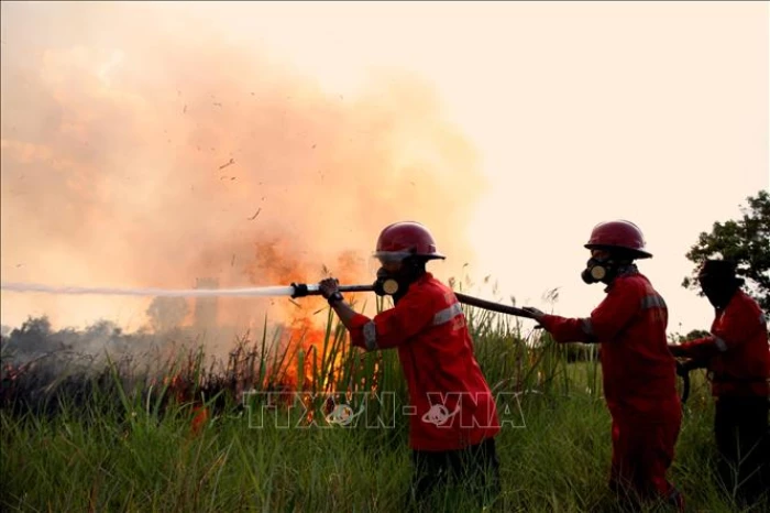 Indonesia huy động hàng trăm quân nhân ứng phó cháy rừng, phục hồi hệ sinh thái