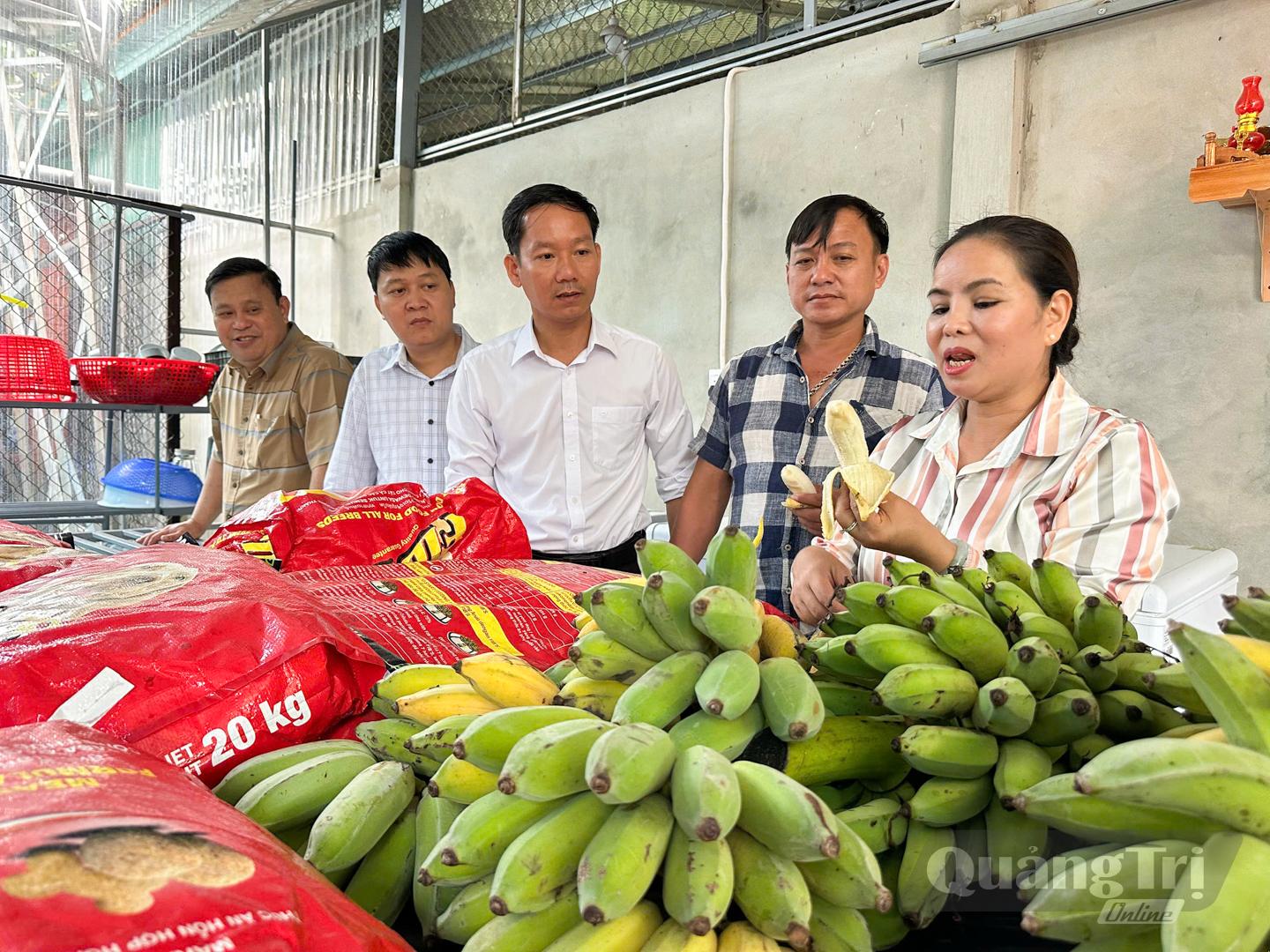 Thức ăn của chồn hương khá đơn giản, chủ yếu gồm chuối chín, cám tổng hợp, đầu gà, cá rô phi, cá trê và trứng gà - Ảnh: L.T