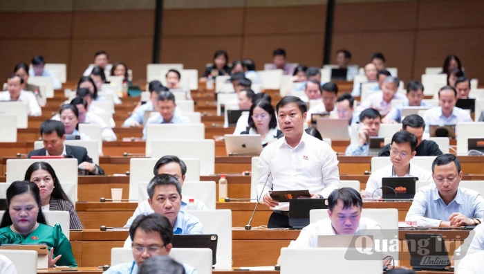 Đề nghị tăng cơ chế rà soát thuốc bảo vệ thực vật; bảo đảm thời hạn giải quyết thủ tục khoáng sản liên tỉnh