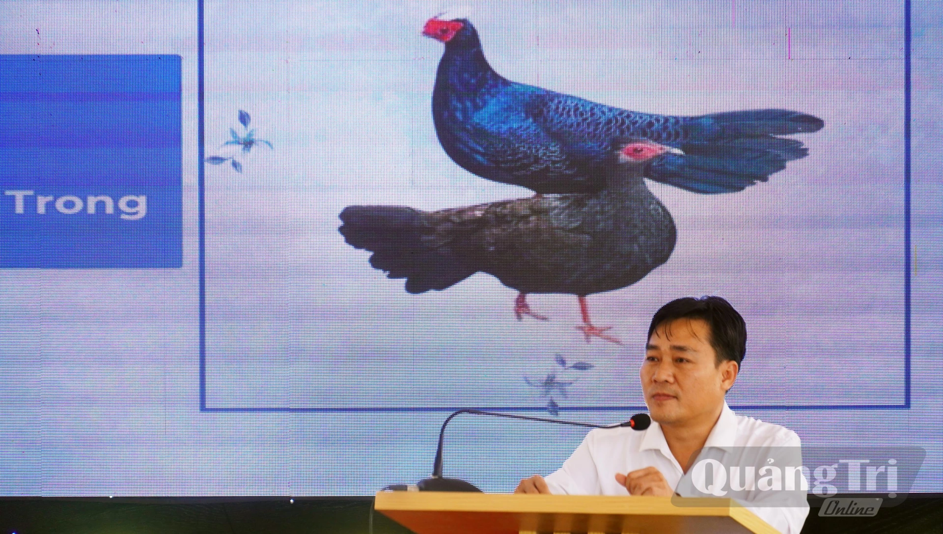 Ông Bạch Thanh Hải, Giám đốc Khu Dự trữ thiên nhiên Động Châu - Khe Nước Trong phát biểu tại sự kiện - Ảnh: N.M