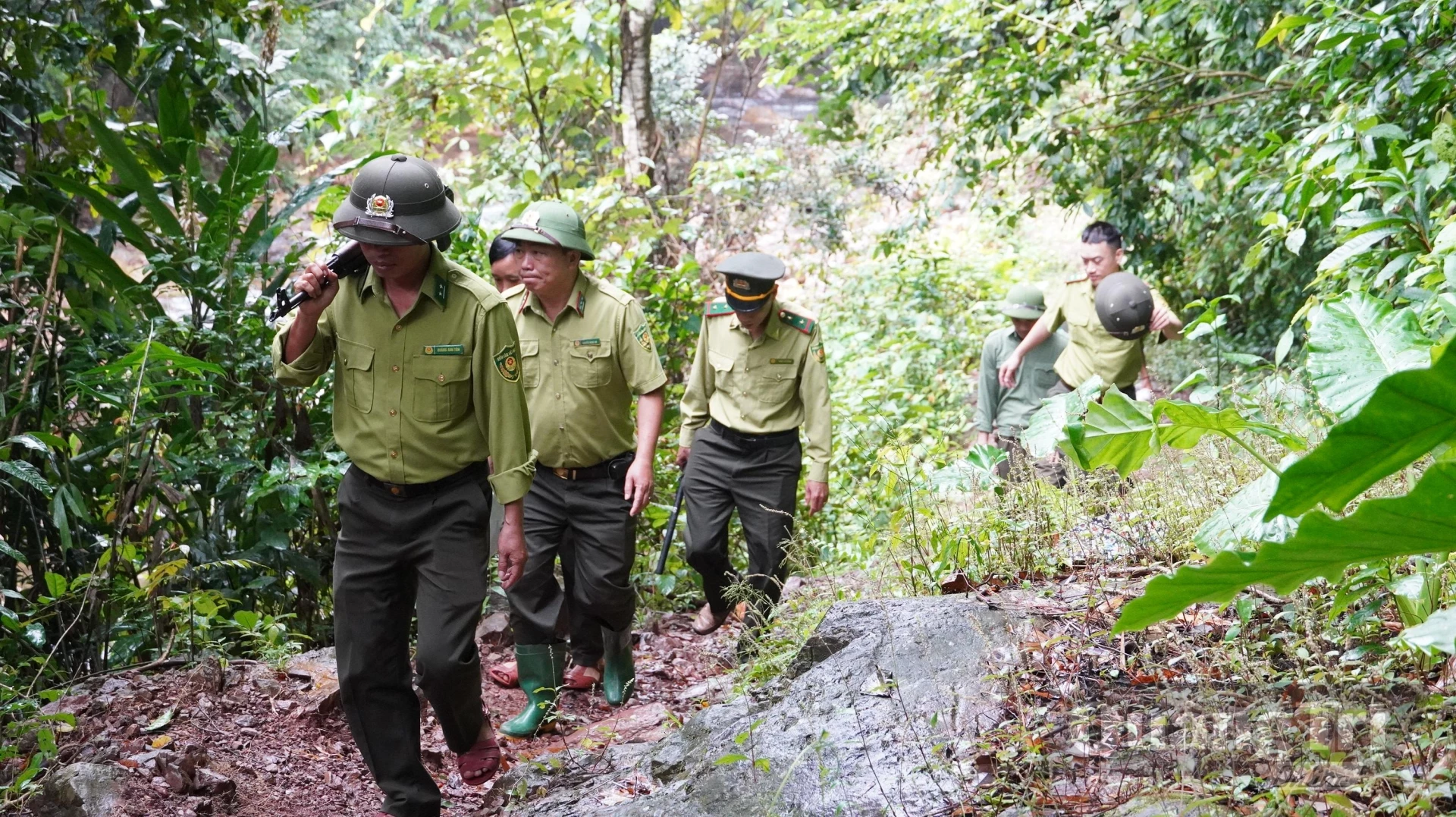 Lực lượng Kiểm lâm và các chủ rừng, chính quyền địa phương tăng cường công tác kiểm tra, kiểm soát lâm sản - Ảnh: N.L.M