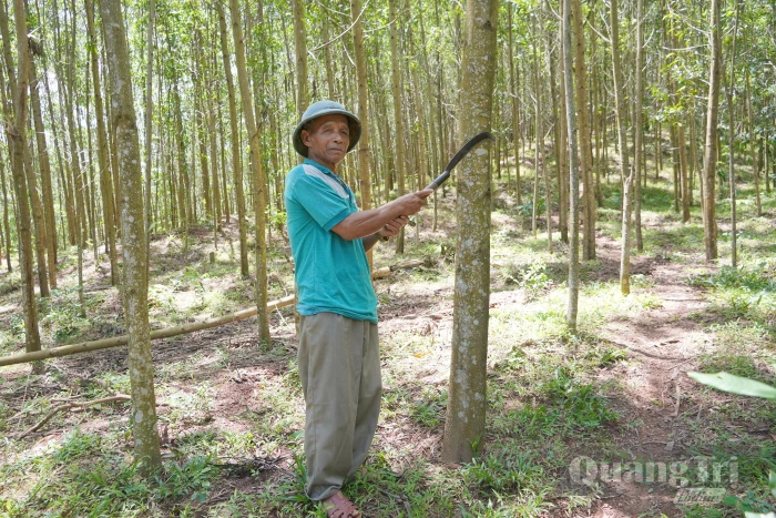 Hồ Pheo làm theo lời Bác