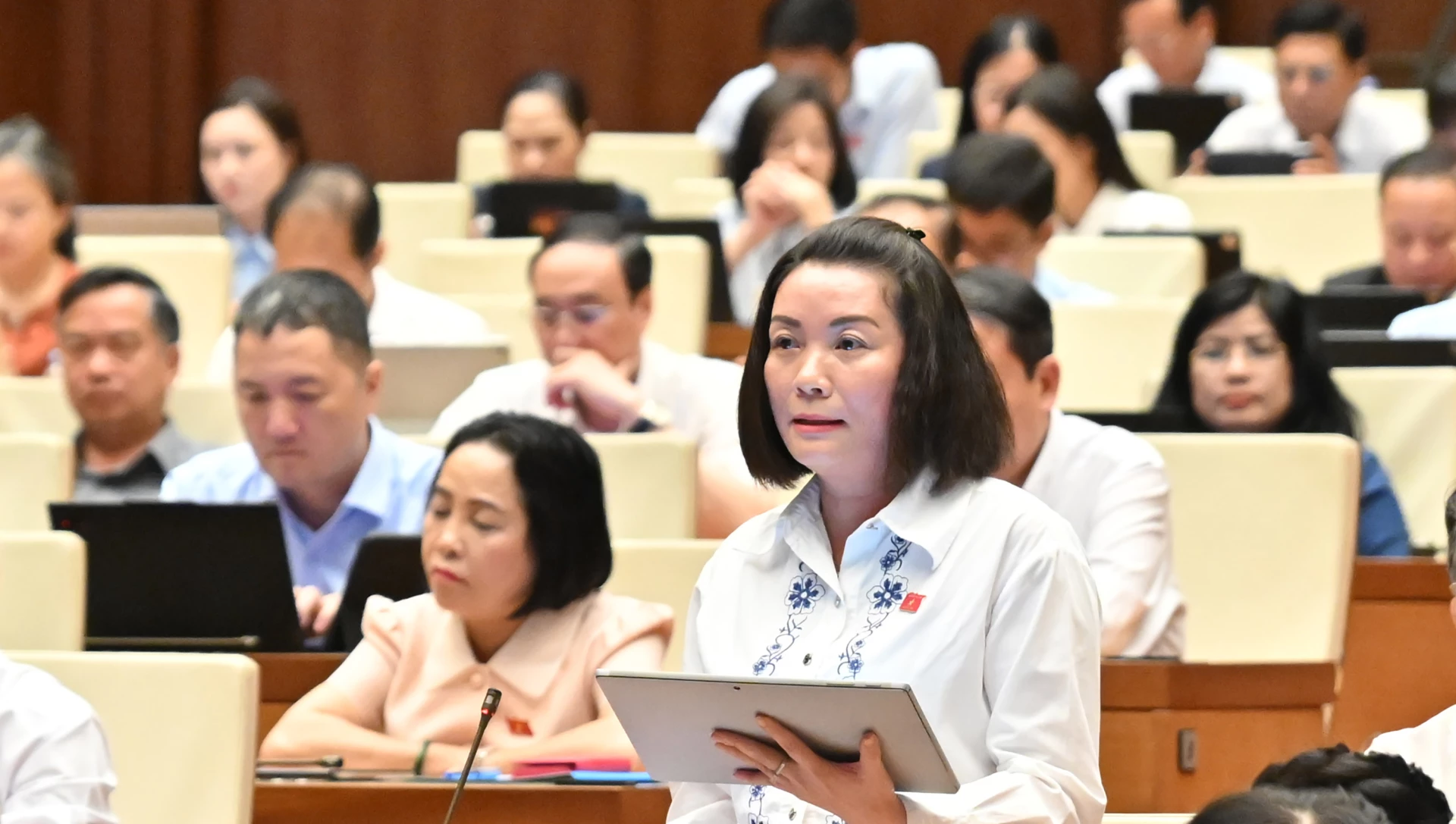 Đoàn đại biểu Quốc hội tỉnh thảo luận tại hội trường về dự thảo Luật Hải quan (sửa đổi)