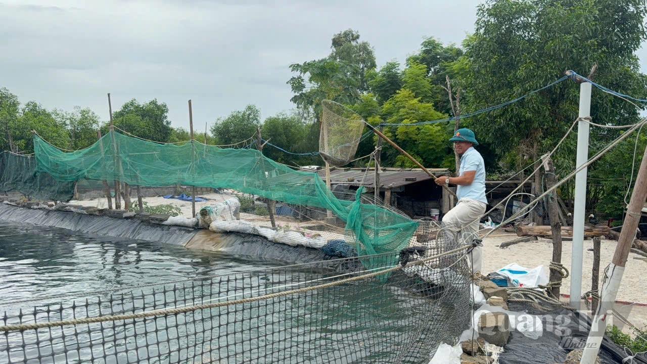 Anh Nguyễn Hữu Thuấn chăm sóc mô hình nuôi ếch, cá lóc mang lại hiệu quả kinh tế tại quê hương - Ảnh: M.H