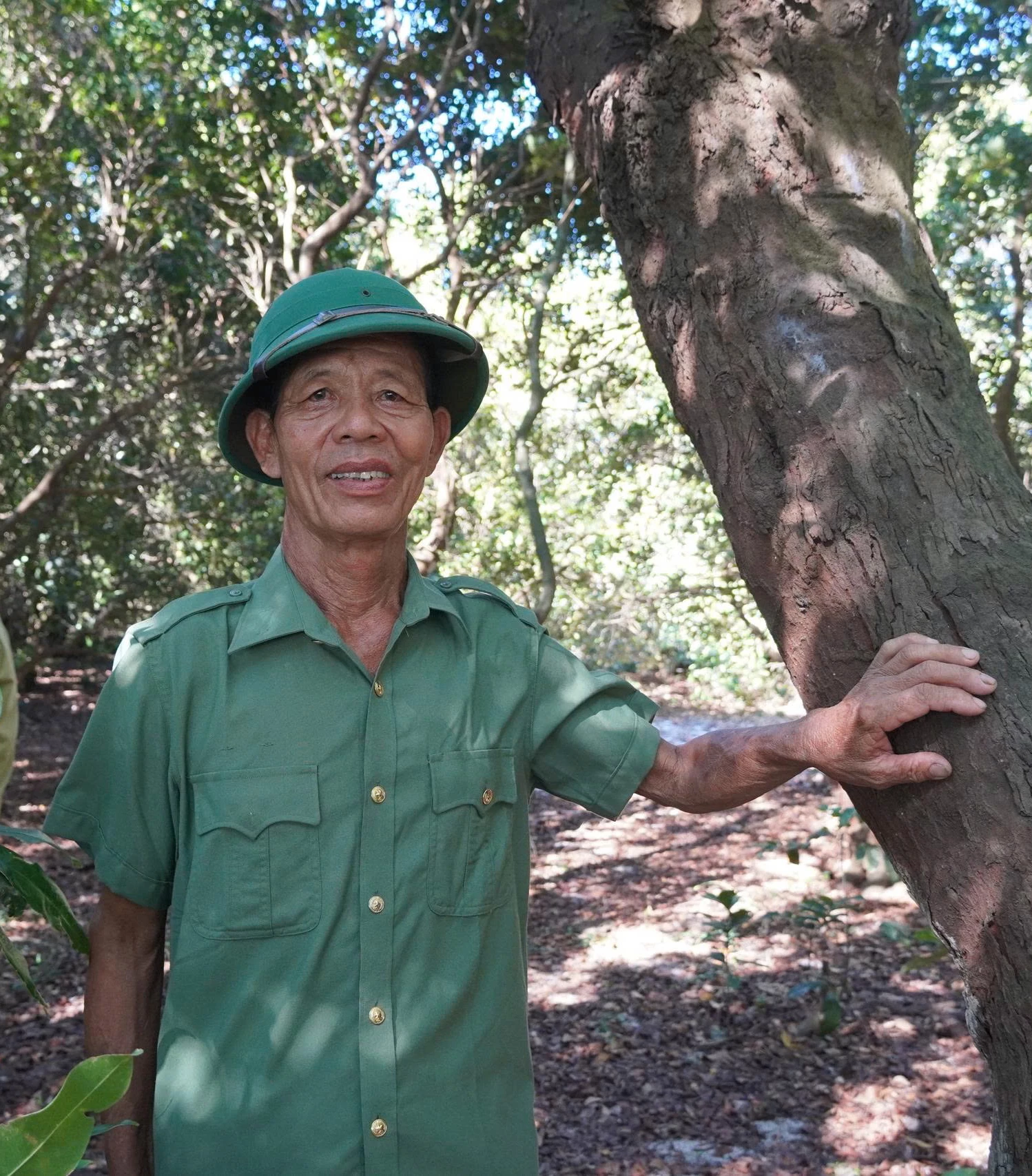 Ảnh nhân vật minh họa