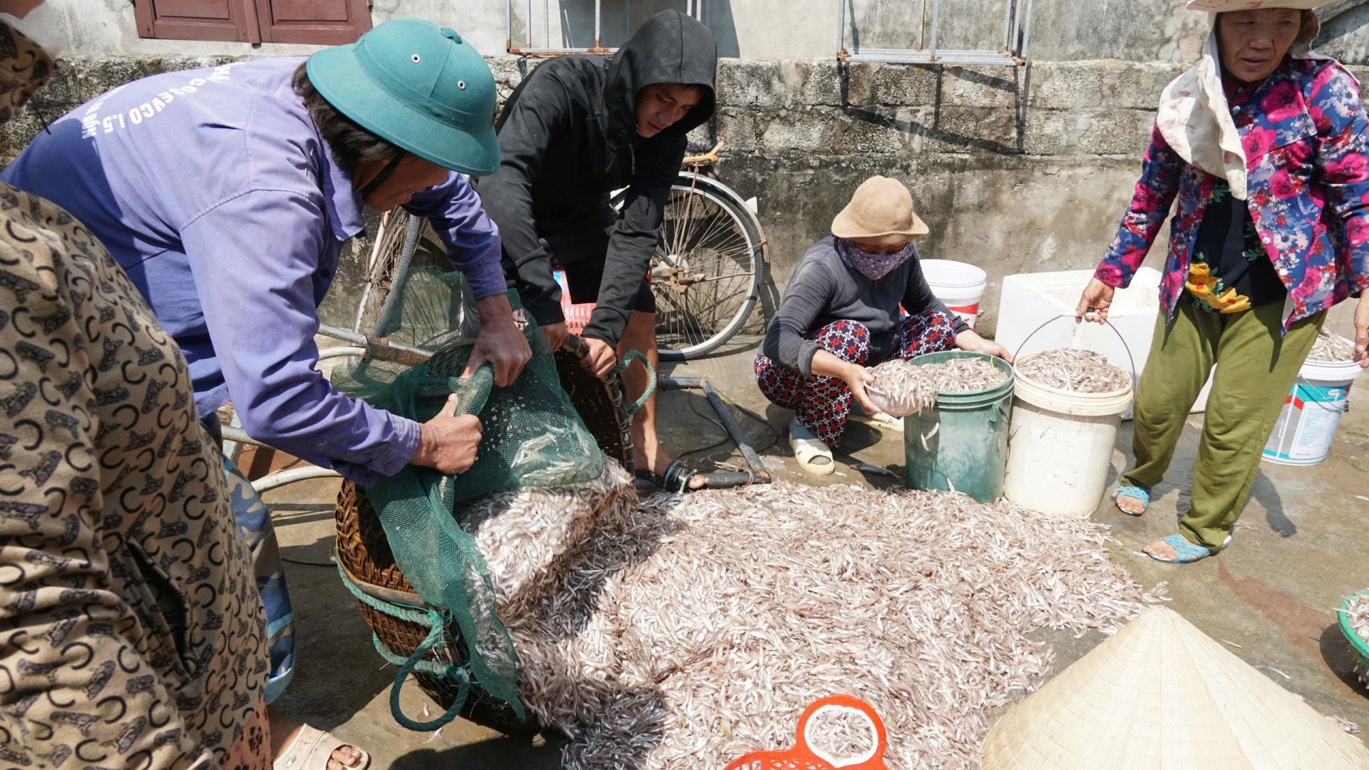 Ngư dân minh họa