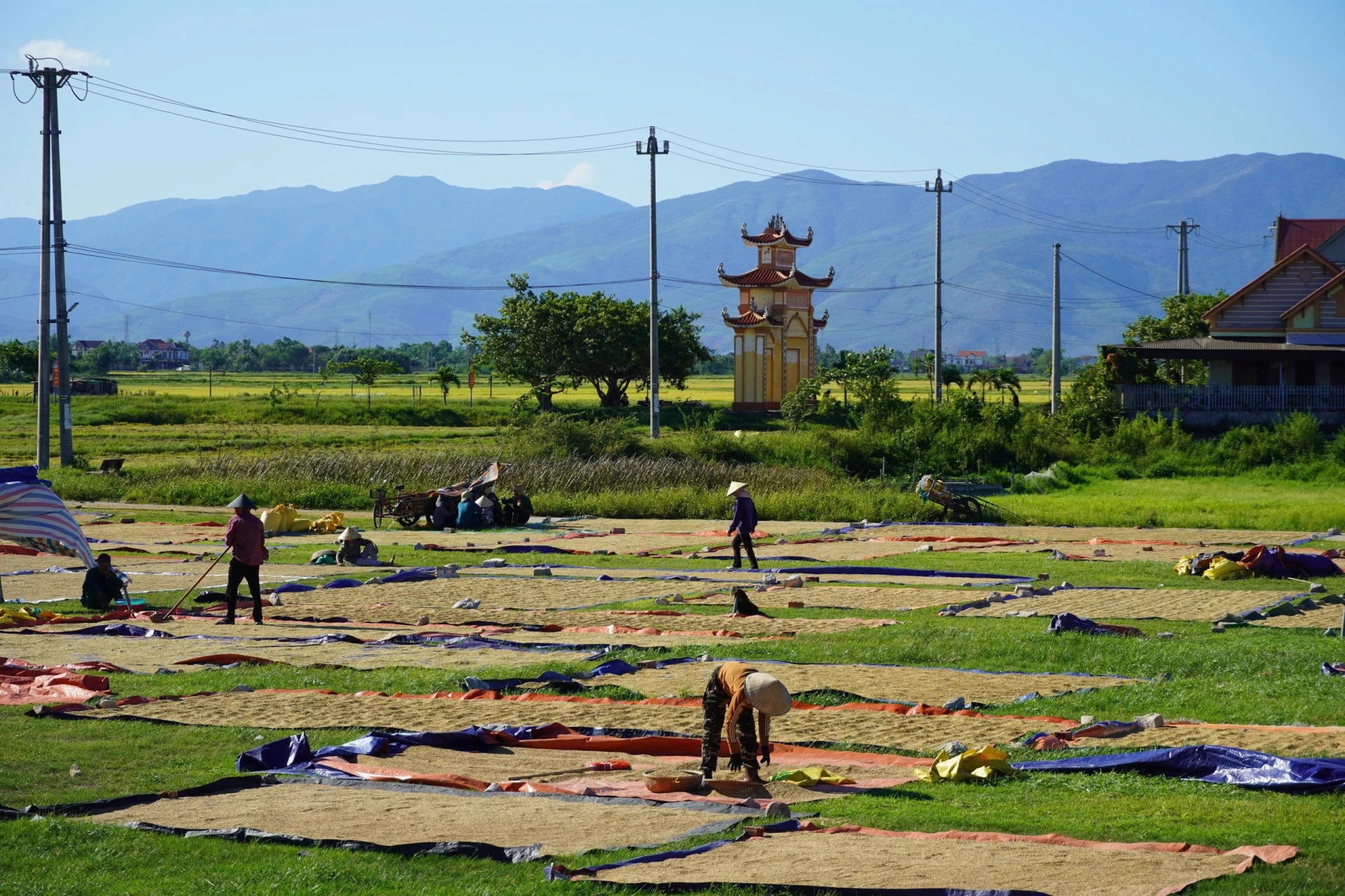 Ngư dân minh họa
