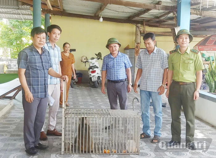 Bàn giao cá thể khỉ vàng cho Vườn Quốc gia Phong Nha-Kẻ Bàng