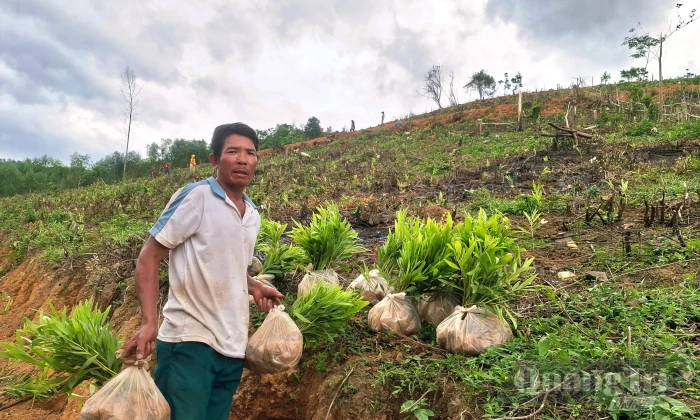 Gương sáng giữa đại ngàn