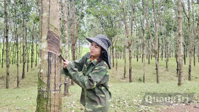 Tạo cơ hội việc làm cho người lao động
