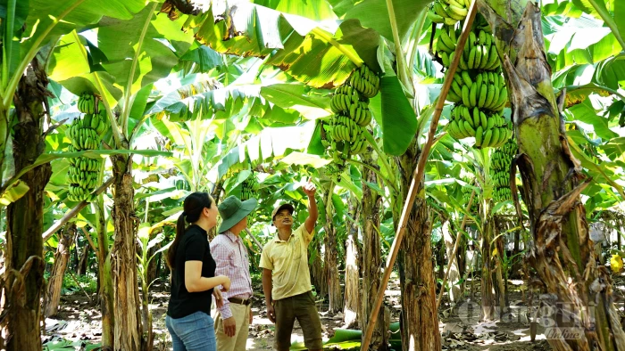Dựng xây nếp sống mới