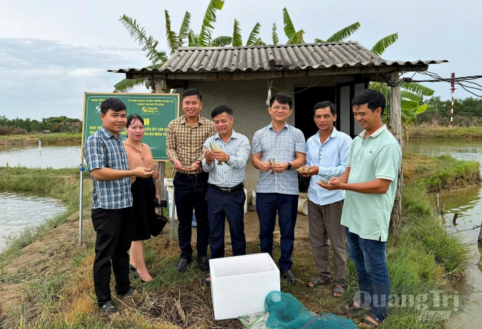 Hướng đi mới cho nghề nuôi tôm sú