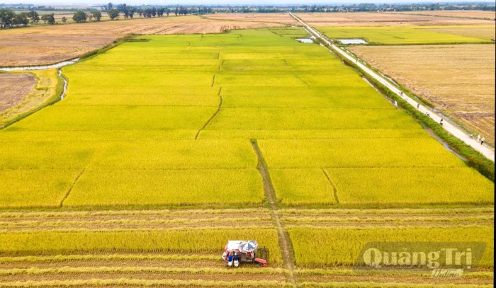 Kỳ vọng từ chính sách hỗ trợ phát triển nông nghiệp bền vững