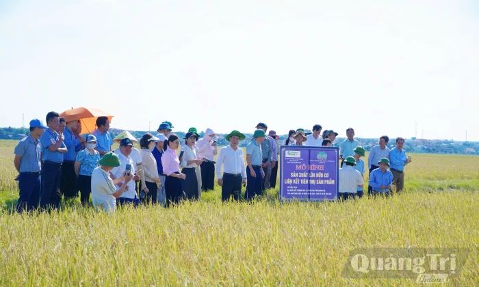 Liên kết sản xuất nông sản
