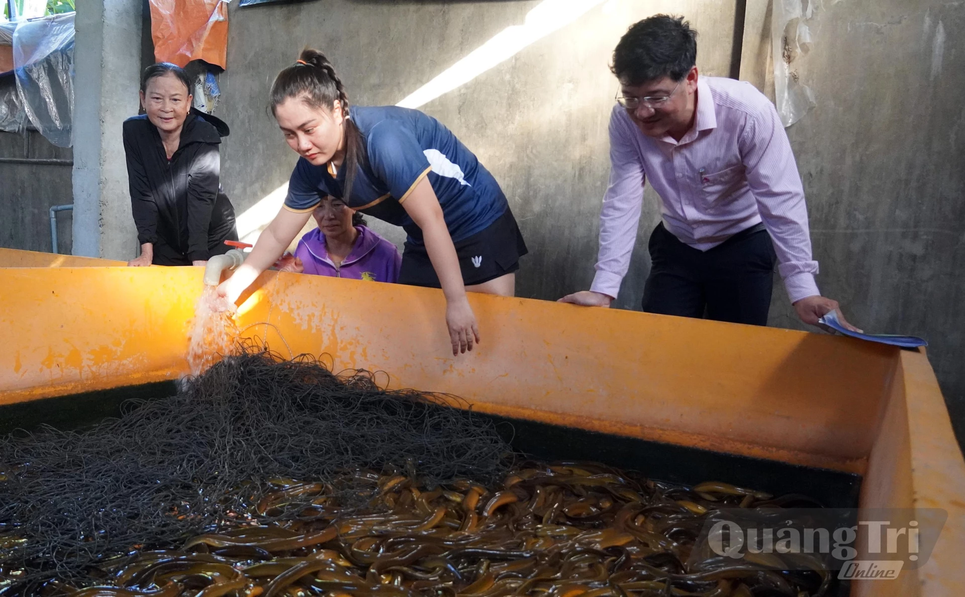 Mô hình nuôi lươn không bùn của hộ bà Đặng Thị Mỹ Linh (ở tổ dân phố Đức Ninh 1), ngày càng phát triển - Ảnh: H.Tr