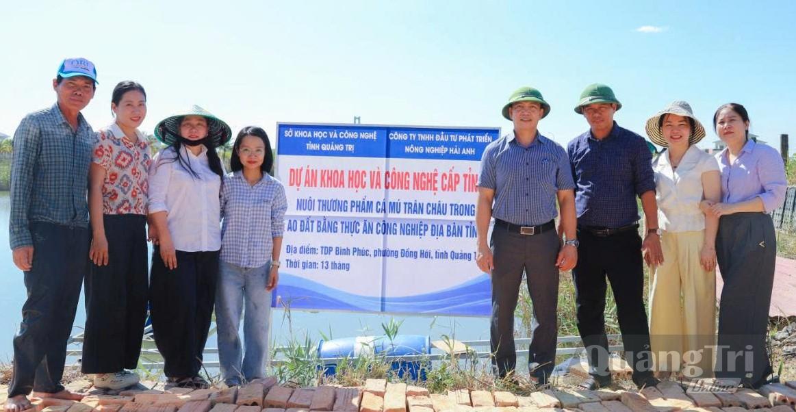 Sở Khoa học và Công nghệ phối hợp doanh nghiệp thực hiện đề tài nuôi cá mú Trân Châu trong ao đất bằng thức ăn công nghiệp tại phường Đồng Hới - Ảnh: M.L