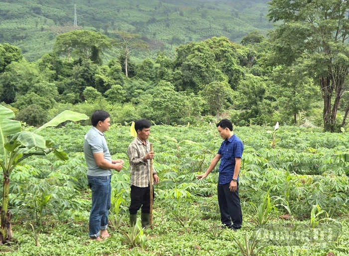 Đổi mới ở xã Lìa