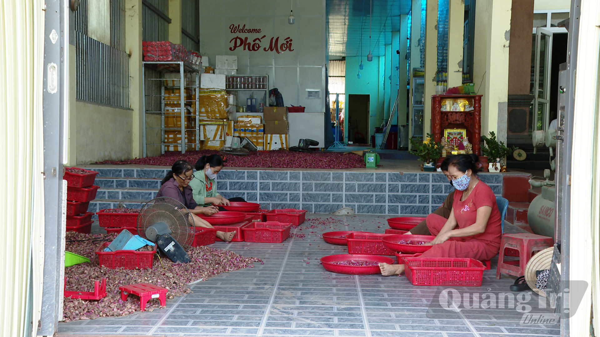 Phụ nữ của thôn Hồ Xá Trung tham gia mô hình làm dưa kiệu muối - Ảnh: N.D