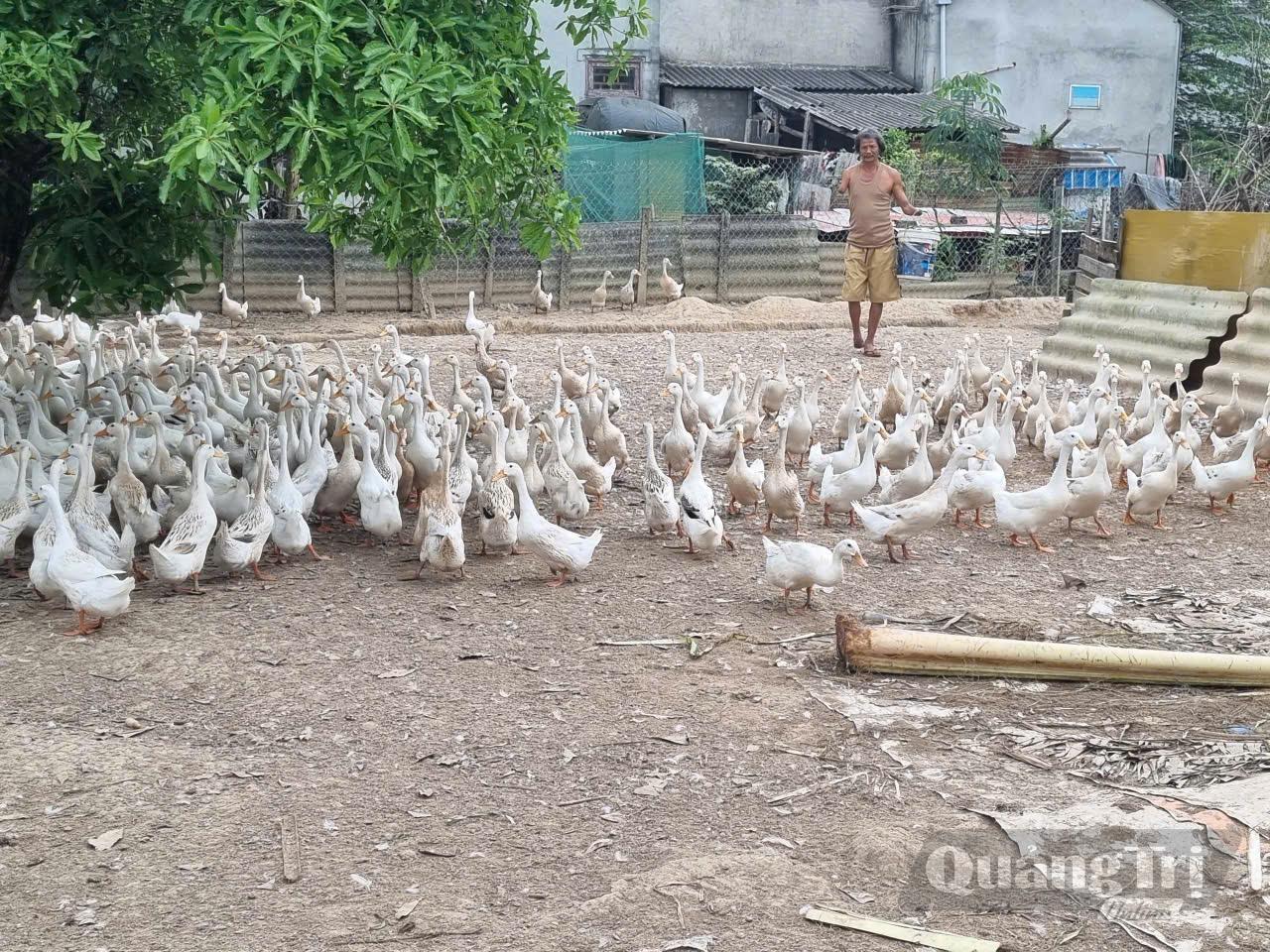 Dù chiến tranh lấy đi của ông Lê Hồng Đăng đôi bàn tay, nhưng ông vẫn nỗ lực lao động để nuôi gia đình-Ảnh: H.H