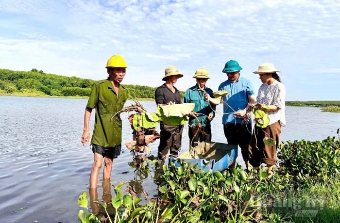 Hiệu quả công tác khuyến nông