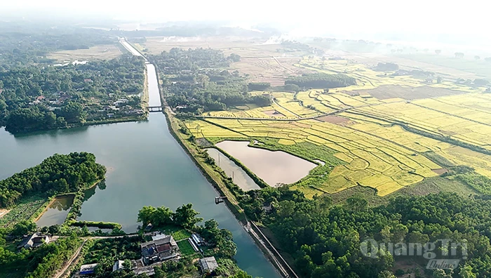 Mạch nguồn cho những mùa vàng