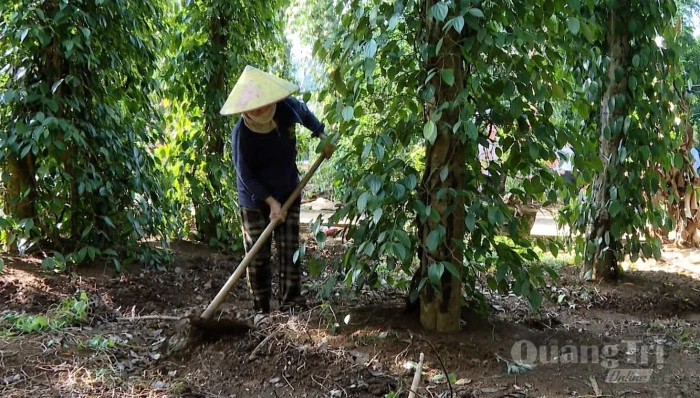 Đổi mới đào tạo nghề nông thôn