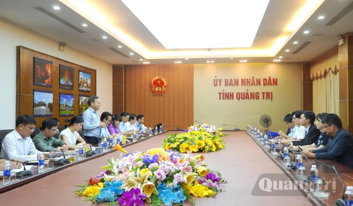 Lãnh đạo UBND tỉnh làm việc với Công ty CP Vietnam Wafer và Tập đoàn Konematsu Corporation (Nhật Bản)