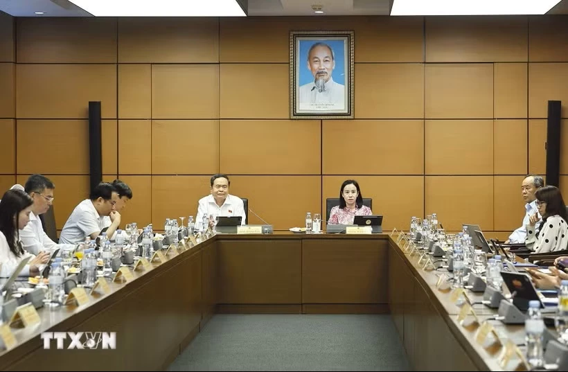 Đại biểu Quốc hội Thành phố Hồ Chí Minh họp tại tổ. (Ảnh: Doãn Tấn/TTXVN)