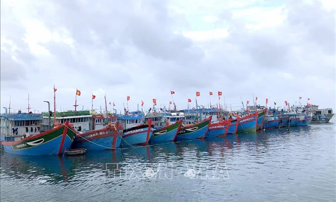 Tàu thuyền vào neo trú tại vũng neo đậu tàu thuyền Lý Sơn (Quảng Ngãi). Ảnh tư liệu: Lê Ngọc Phước/TTXVN