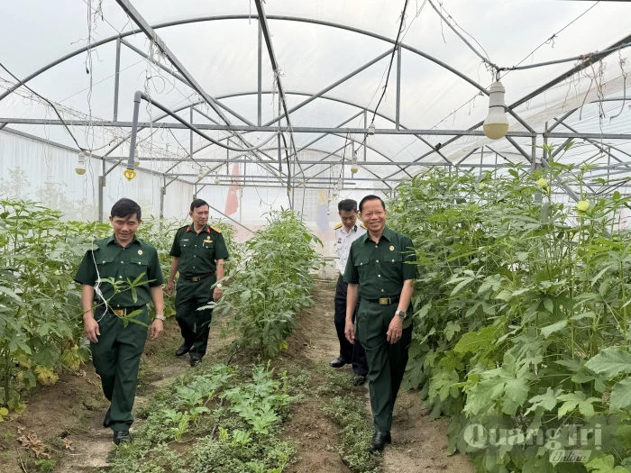 Những cựu binh trên mặt trận kinh tế