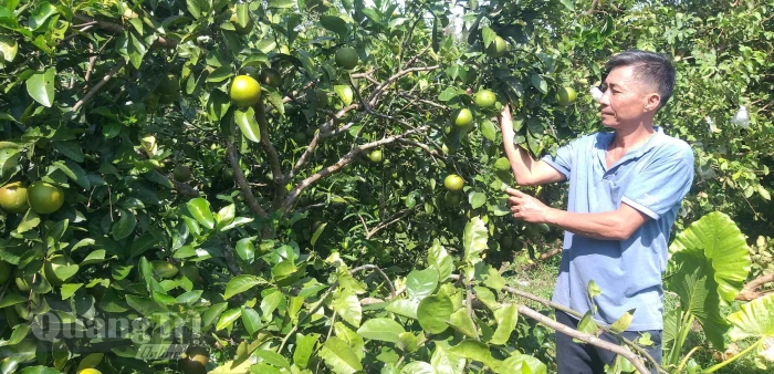 Nghĩa tình đồng đội