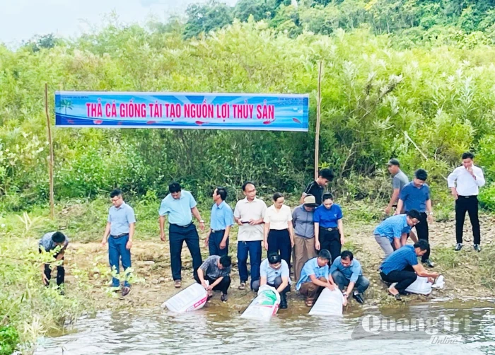 Kim Phú: Thả hơn 20.000 cá giống tái tạo nguồn lợi thủy sản