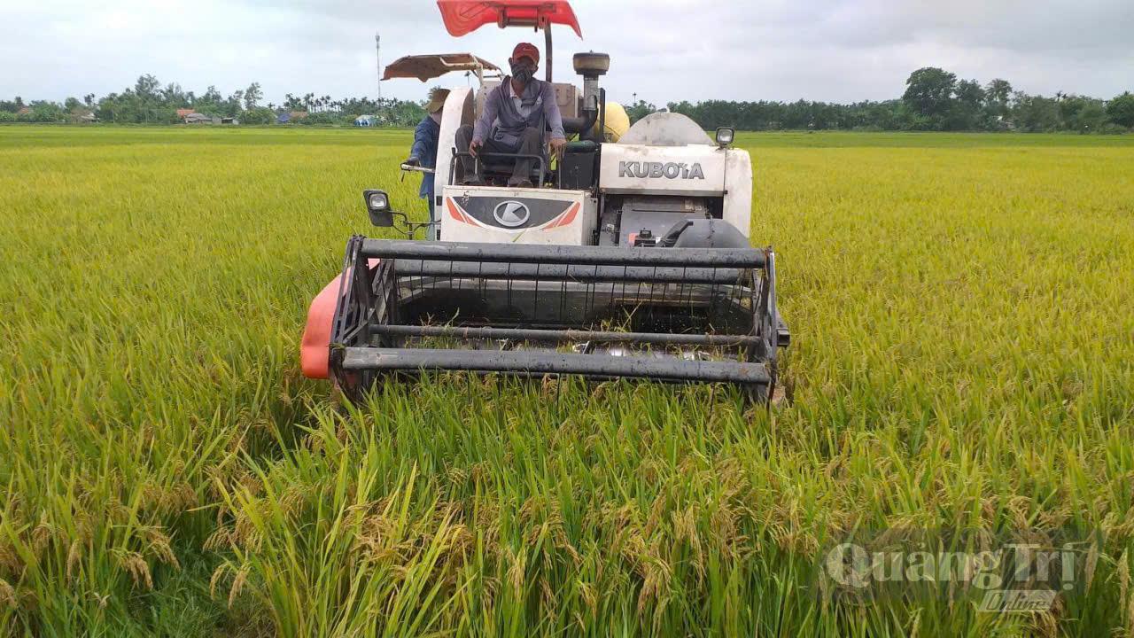 Nghị quyết số 12 có chính sách hỗ trợ 50% kinh phí mua máy móc, trang thiết bị phục vụ cơ giới hóa nông nghiệp - Ảnh: M.L