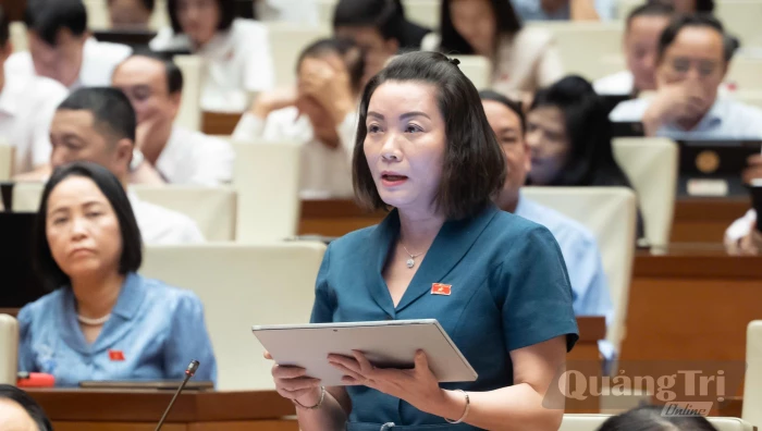 Đoàn đại biểu Quốc hội tỉnh thảo luận về cơ chế, chính sách đặc thù để xử lý vi phạm pháp luật