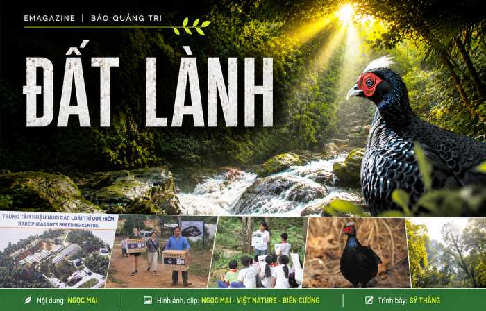 Đất lành