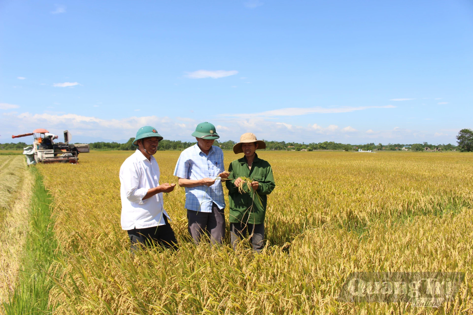 Cấp ủy Chi bộ thôn Lam Thủy thường xuyên sâu sát cơ sở để nắm tình hình sản xuất lúa giống của thành viên HTX Lam Thủy - Ảnh: T.T