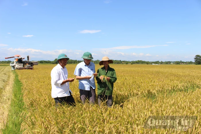 Sức bật mới ở Lam Thủy