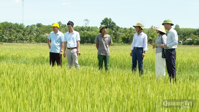 Nâng cao hiệu quả hoạt động chi bộ trước yêu cầu mới