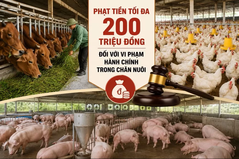 Ảnh minh họa, có sử dụng AI.
