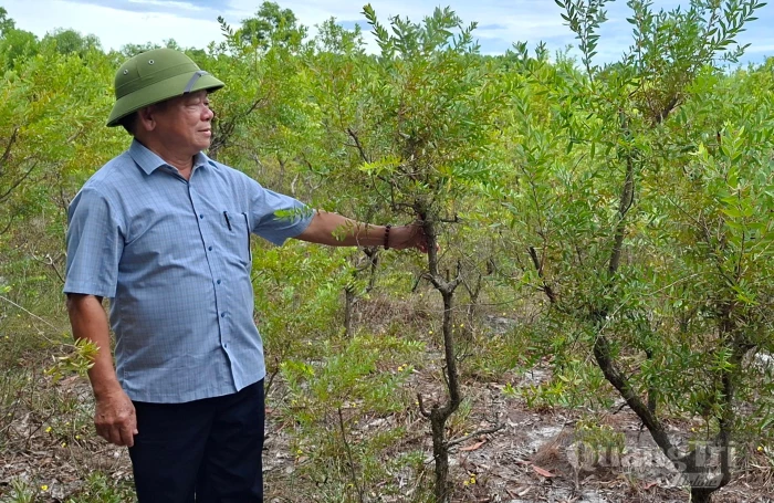 Hướng phát triển kinh tế xanh
